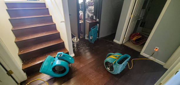 Best Water damage restoration near me  in Conway, PA