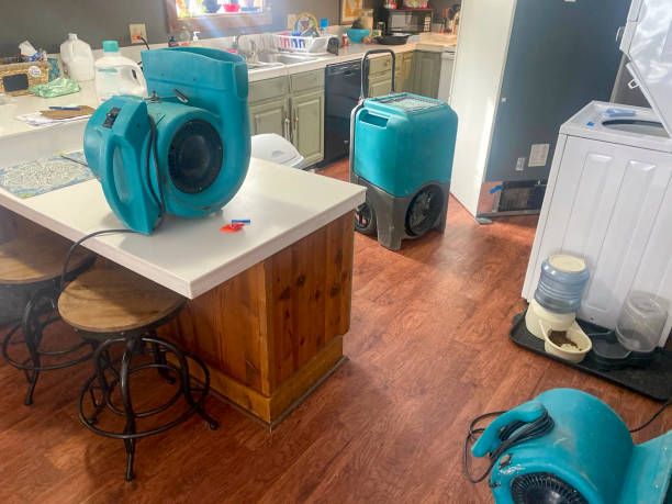 Best Carpet water damage restoration  in Conway, PA