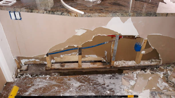 Best Mold removal after water damage  in Conway, PA