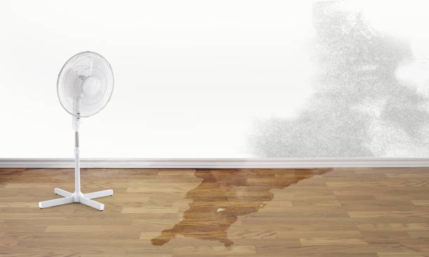 Trusted Conway, PA Water damage restoration Experts