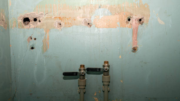 Best Residential water damage restoration  in Conway, PA