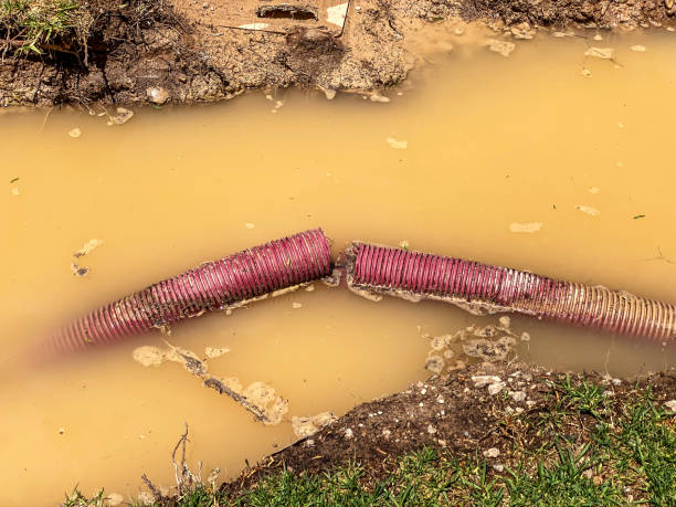 Best Water damage cleanup near me  in Conway, PA